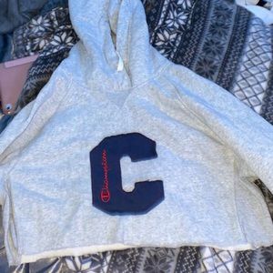 cropped champion sweatshirt